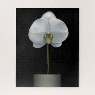 Puzzle Fleurs Fleur d'orchidées blanches