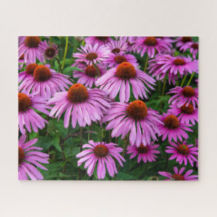 Puzzle Fleurs   Jardin aux fleurs roses