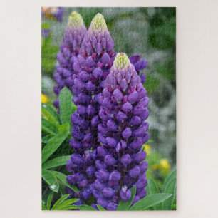 Puzzle Fleurs lupines violettes