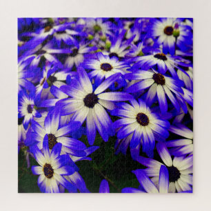 Puzzle Fleurs numériques Bleues et Blancs