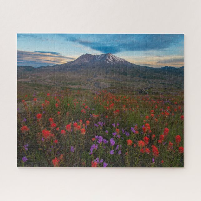 Puzzle Fleurs | Pinceau indien & Penstemon (Horizontal)