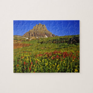 Puzzle fleurs sauvages alpins au col Logan dans le glacie