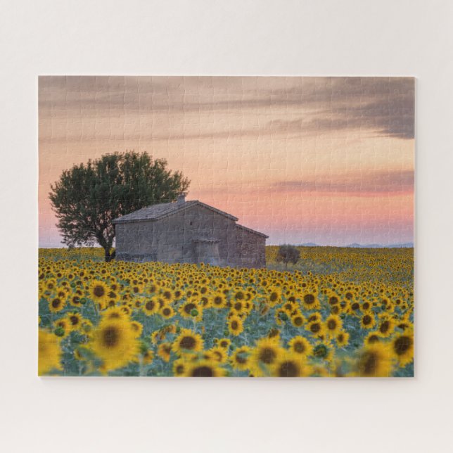 Puzzle Fleurs | Sunflower Field Provence, France (Horizontal)