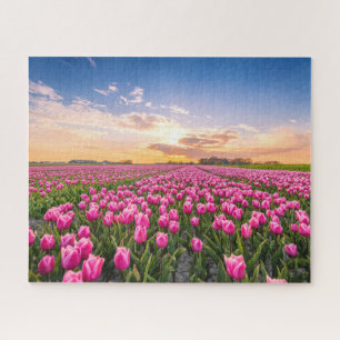 Puzzle Fleurs Tulips Holland Sud, Pays-Bas