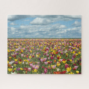 Puzzle Fleurs   Tulips Willamette Valley Oregon