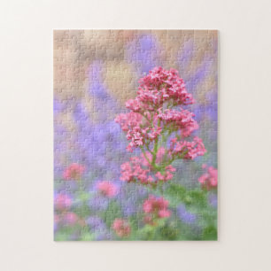 Puzzle Fleurs violettes roses Anglais Jardin Nature Photo