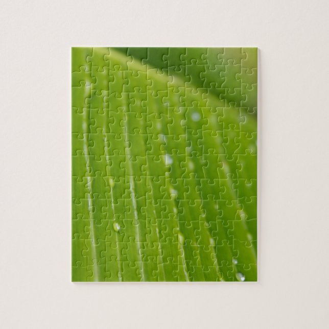 Puzzle Flora Dominique 2 (Vertical)