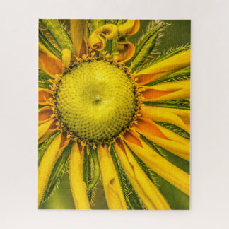 Puzzle floral