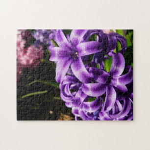 Puzzle Flore de printemps Blue Hyacinth II