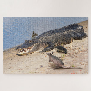 Puzzle Floride Alligator avec animaux. Buffet Alligator