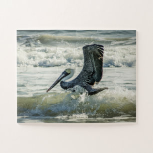 Puzzle Floride Pelican Bird Nature Plage surdimensionnée 