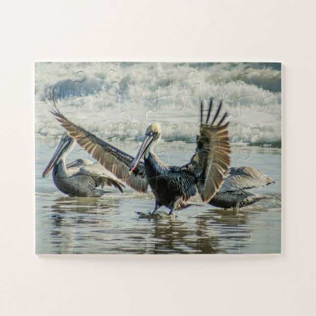 Puzzle Floride Pelicans Birds Nature Plage surdimensionné (Horizontal)