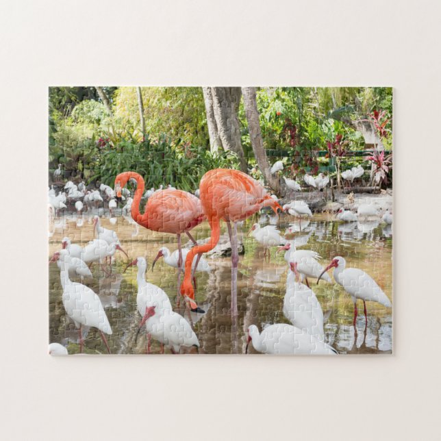 Puzzle Floride tropicale Flamants roses roses Pittoresque (Horizontal)