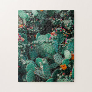 Puzzle Flowering Cactus Plants