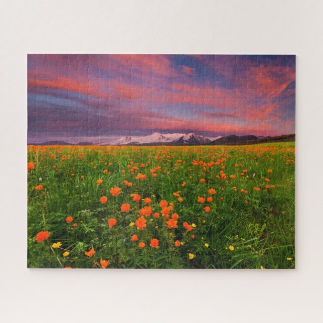Puzzle Flowers (homonymie) | Fayot Field Snowcapped Mount (Horizontal)