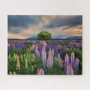 Puzzle Flowers (homonymie)   Lupine Field à New Zealand
