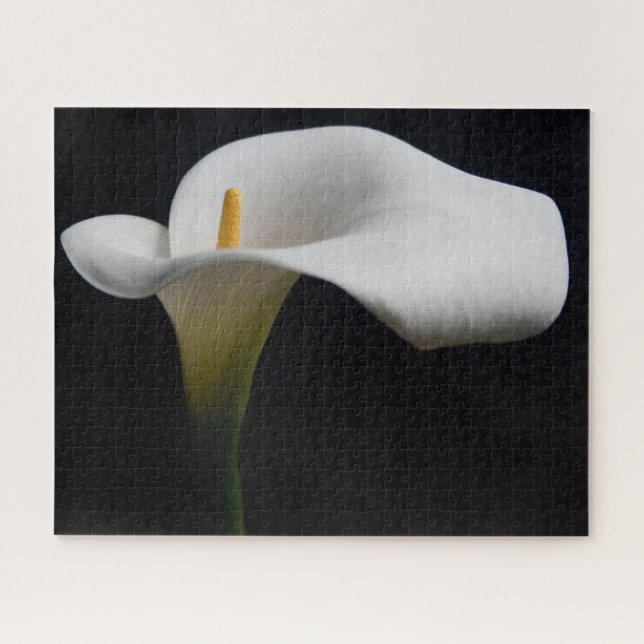 Puzzle Flowers (homonymie) | White Calla Lily (Horizontal)