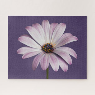 Puzzle Flowers   White & Purple Daisy