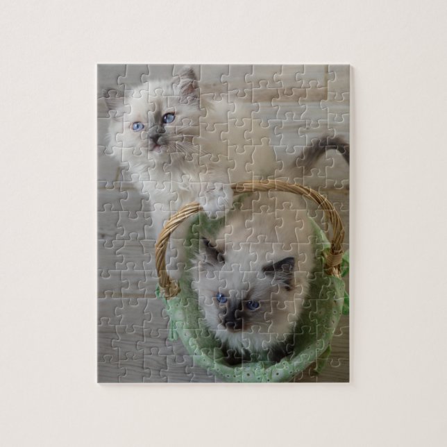 Puzzle Fluffin Ragdoll Blue Eyed Kittens (Vertical)