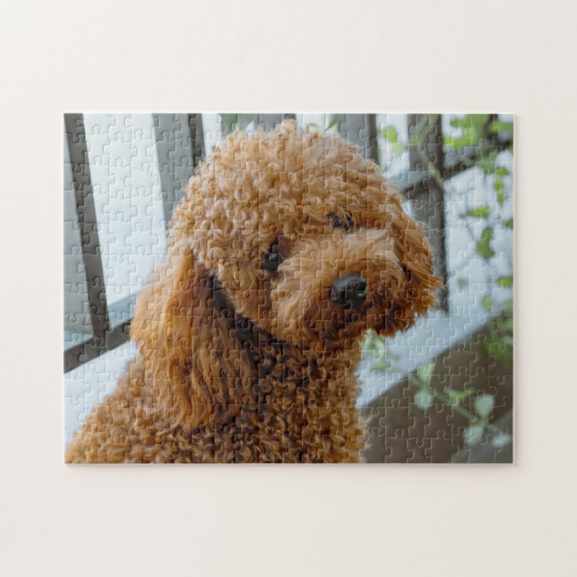 Puzzle Fluffy Brown Poodle Chien chiot (Horizontal)