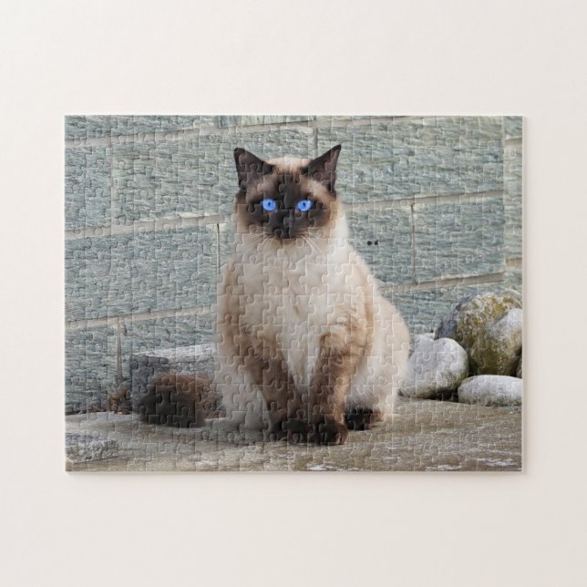 Puzzle Fluffy Chat aux yeux bleus (Horizontal)