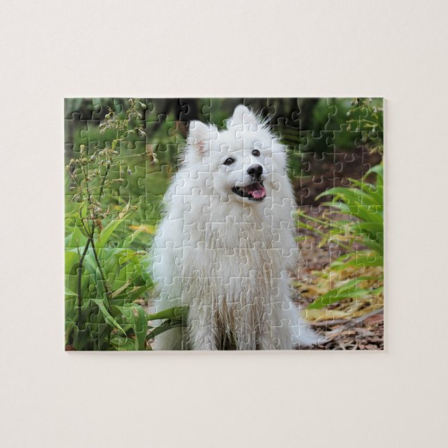 Puzzle Fluffy White Spitz Chien chiot (Horizontal)