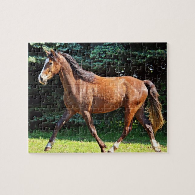 Puzzle Fonctionnement Brown de cheval (Horizontal)