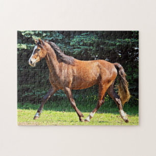 Puzzle Fonctionnement Brown de cheval