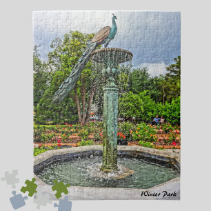 Puzzle Fontaine Peacock & Jardin Rose dans le parc d'hive