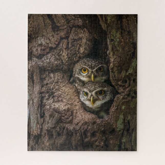 Puzzle Forest | Deux Owls Looking (Vertical)