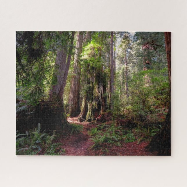 Puzzle Forest | Séquwood Forest California (Horizontal)