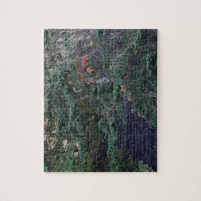 Puzzle Forest Steps in Early Autumn (Vertical)