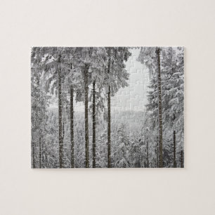 Puzzle Forêt à feuillage persistant en hiver