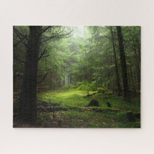 Puzzle Forêt Auvergne France