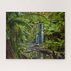Puzzle Forêt   Beauchamp Falls Australie