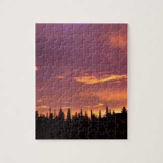 Puzzle Forêt boréale Alaska de lever de soleil