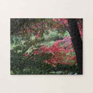 Puzzle Forêt d'automne