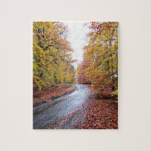 Puzzle Forêt d'automne