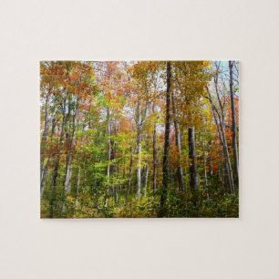 Puzzle Forêt d'automne I Photographie de paysage automnal