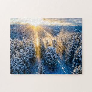 Puzzle Forêt de sapins enneigée vue aérienne