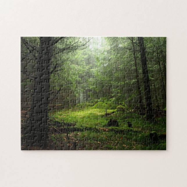 Puzzle Forêt de Sterious (Horizontal)