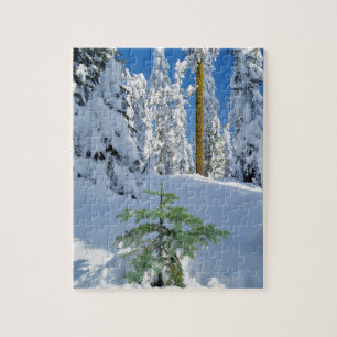 Puzzle Forêt enneigée en Oregon