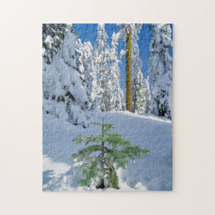 Puzzle Forêt enneigée en Oregon