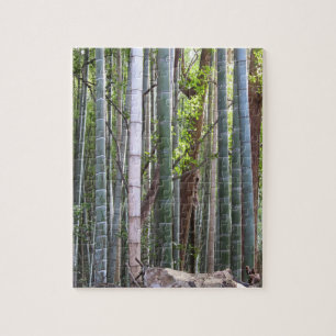 Puzzle Forêt géante japonaise de bambou, Sagano, Kyoto, J