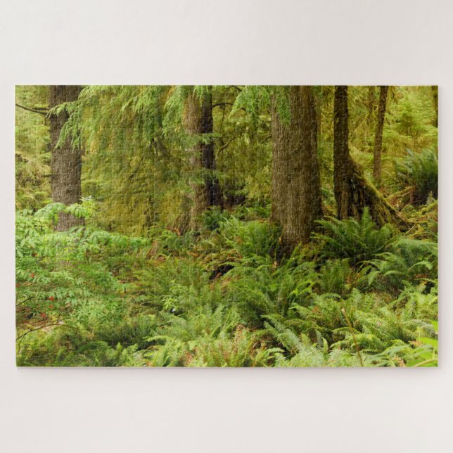 Puzzle Forêt luxuriante et fougères | Ecola State Park, O (Horizontal)