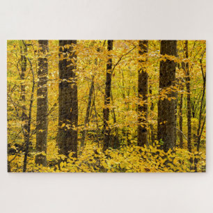 Puzzle Forêt nationale de Fall Pisgah