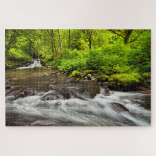 Puzzle Forêt nationale de Siuslaw, ruisseau Sweet, Oregon
