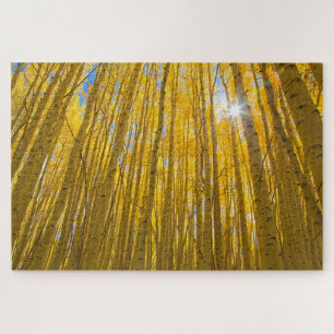 Puzzle Forêt nationale de White River