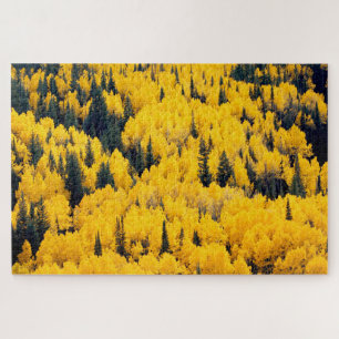 Puzzle Forêt nationale de White River Aspen, Colorado