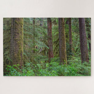 Puzzle Forêt nationale de Willamette Oregon